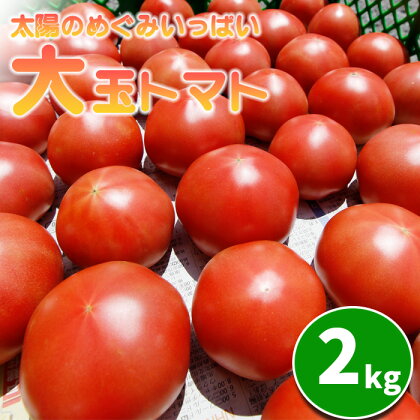 こだわり 大玉 トマト 約 2kg ／ とまと 新鮮 野菜 2キロ やさい 夏 旬 旬野菜 夏野菜 国産 国内産 季節限定 季節野菜 サラダ リコピン 生食 家庭用 自宅用 ソース お取り寄せ 取り寄せ 取寄せ 田村和大 東北 岩手県 八幡平市 産地直送 農家直送 送料無料