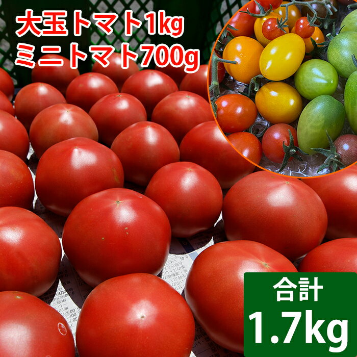 【ふるさと納税】 トマト 詰め合せ 大玉 1kg ミニトマト 700g ／とまと ミディトマト 旬野菜 新鮮 詰め合わせ 詰合せ 夏野菜 野菜 食べ比べ おまかせ 夏 旬 季節限定 家庭用 自宅用 お取り寄せ 取り寄せ 取寄せ 田村和大 岩手県 八幡平市 送料無料 産地直送 農家直送