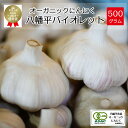 【ふるさと納税】 にんにく ニンニク 岩手県産 オーガニックにんにく 八幡平バイオレット 500g /オーガニック 大蒜 ガーリック 薬味 香味野菜 野菜 香辛料 料理 調理 醤油漬け 油漬け 揚げる 500グラム 産地直送 農家直送 おすすめ 岩手県 八幡平市 送料無料 すばるファーム