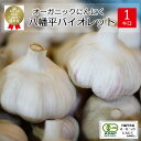 【ふるさと納税】 にんにく ニンニク 岩手県産オーガニックにんにく 八幡平バイオレット 1kg /オーガニック 大蒜 ガーリック 薬味 香味野菜 野菜 香辛料 料理 調理 醤油漬け 油漬け 揚げる 1キロ 1000g 産地直送 農家直送 おすすめ 岩手県 八幡平市 送料無料 すばるファーム