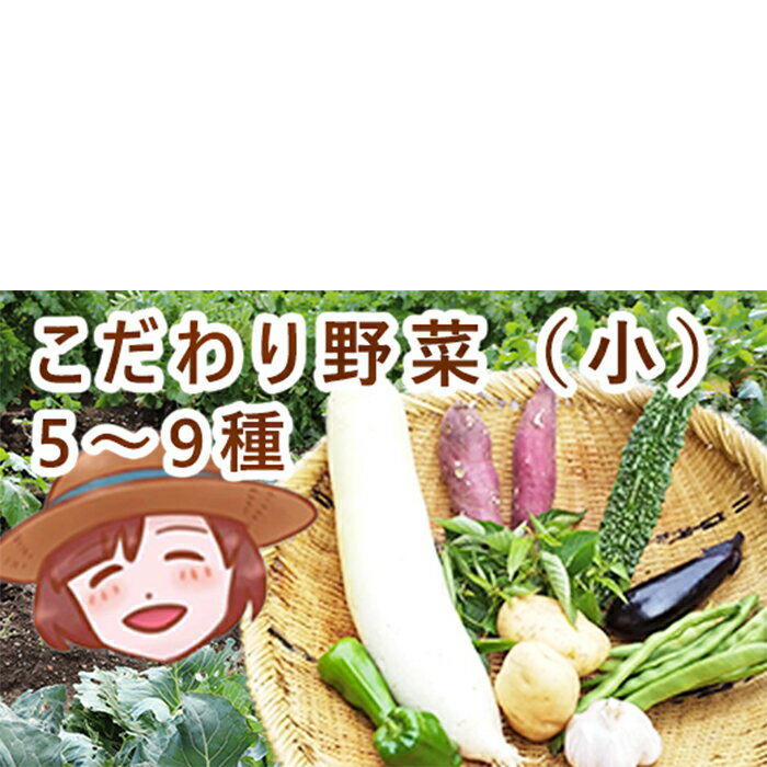 【ふるさと納税】【せの畑】 こだわり 野菜 の 詰め合わせ 小 5～9 品 1～2人分 詰合せ セット 旬 やさい 季節 新鮮 冷蔵 岩手県 八幡平市 送料無料 BC-008のサムネイル