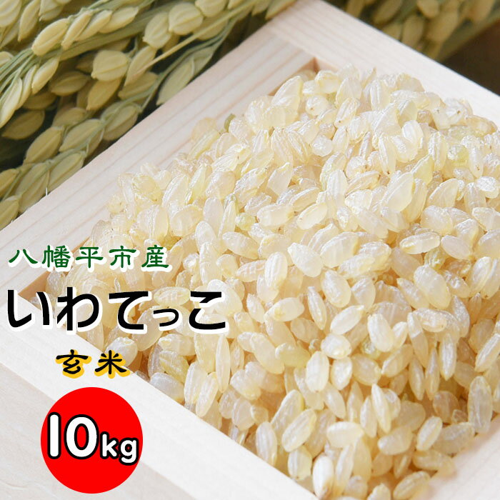 いわてっこ 玄米 10kg 1袋 / せの畑 米 こめ コメ げんまい ご飯 ごはん 御飯 お米 おこめ 国内産 国産 ライス 家庭用 自宅用 仕送り お取り寄せ 贈り物 贈物 お弁当 弁当 おにぎり 10キロ 単一原料米 東北 岩手県 八幡平市 送料無料 産地直送 農家直送