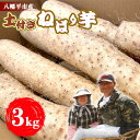 【ふるさと納税】 山芋 長芋 岩手県産 土付き ねばり芋 3kg 松浦農園 / ねばりいも 野菜 長いも ながいも 山いも やまいも やま芋 農家直送 産地直送...