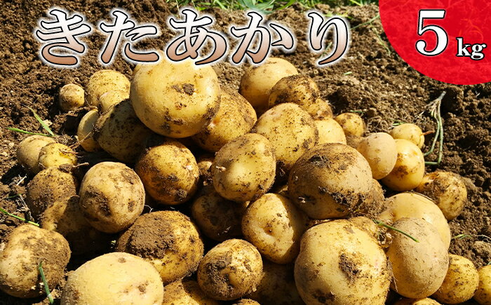 2位! 口コミ数「0件」評価「0」 松浦農園 じゃがいも きたあかり 5kg ／ 5キロ ジャガイモ じゃが芋 キタアカリ 旬 野菜 いも 芋 イモ 北あかり 北アカリ 馬鈴･･･ 