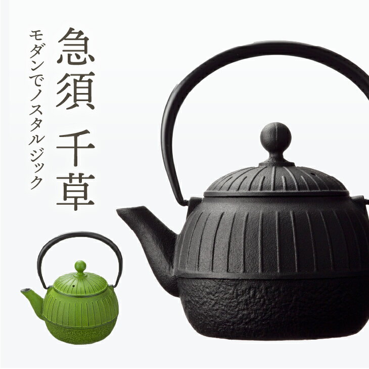 【ふるさと納税】 南部鉄器 急須 千草 0.55L 黒色/若草色【OIGEN 作】 伝統工芸品 キッチン用品 食器 日用品 雑貨 [Z0034]