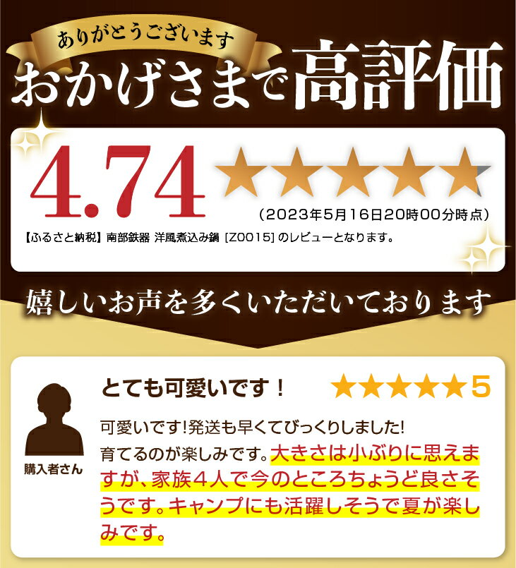 【ふるさと納税】 南部鉄器 40年のロングセラー洋風煮込み鍋 【OIGEN 作】 IH調理器 伝統工芸品 キャンプ用品 キッチン用品 食器 日用品 調理器具 アウトドア [Z0015]