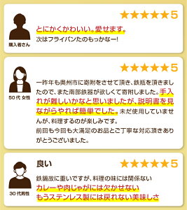 【ふるさと納税】 南部鉄器 40年のロングセラー洋風煮込み鍋 【OIGEN 作】 IH調理器 伝統工芸品 キャンプ用品 キッチン用品 食器 日用品 調理器具 アウトドア [Z0015]