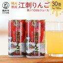 13位! 口コミ数「2件」評価「4」 陽光熟成江刺りんごジュース (195ml×30缶) 江刺産サンふじ使用 ストレート果汁100％[A0048]