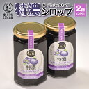 7位! 口コミ数「0件」評価「0」 GH(ガーデンハックルベリー) 特濃シロップ300g×2個 岩手県奥州市江刺産 [BB005]