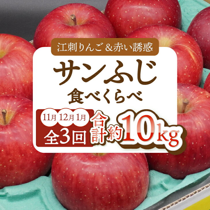 【ふるさと納税】【定期便】 奥州市りんご 3か月定期便 奥州市産「サンふじ」 計約10kg【11月～翌年1月お届け】全3回 江刺りんご 赤い誘惑 林檎 りんご フルーツ 果物 期間限定 数量限定 食べ比べ 家庭用 自宅用 贈答 [AQ097]