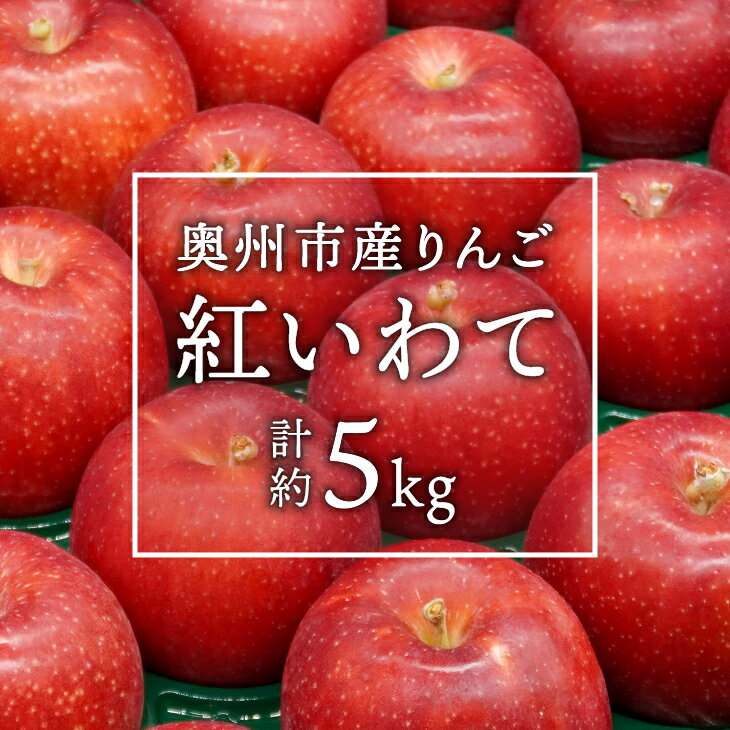 【ふるさと納税】 奥州市産りんご 紅いわて 5kg（14～20玉） 【10月上旬以降お届け】 フルーツ 林檎 離島配送不可 [AQ024] 2