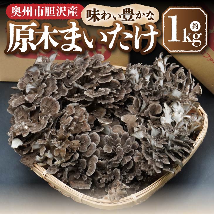 【ふるさと納税】 原木まいたけ 約1kg【ニコニコファーム】 【9月下旬以降お届け】[AQ040] 2