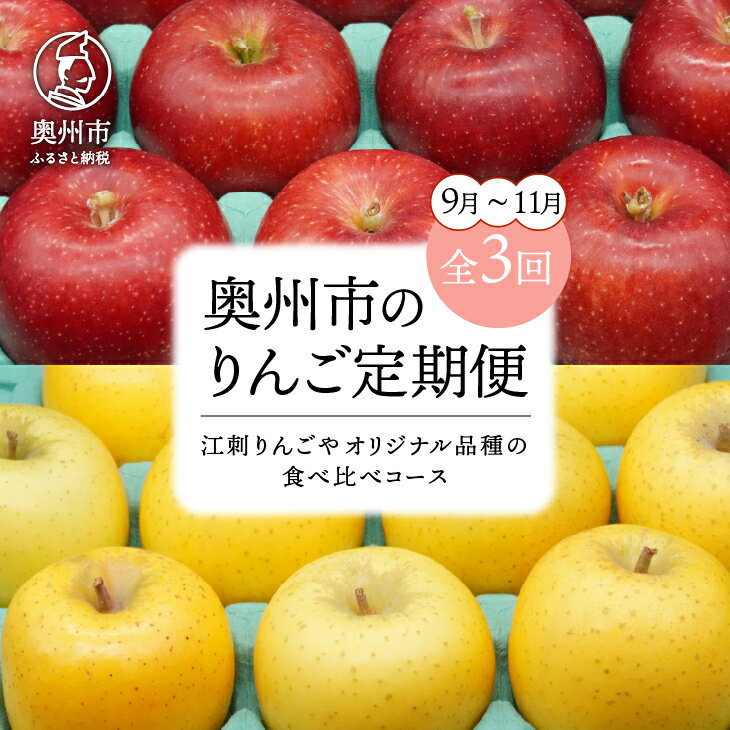 数量限定 奥州市のりんご定期便・3回(9月〜11月) 江刺りんごやオリジナル品種の食べ比べコース サンつがる 紅いわて ジョナゴールド トキ 果物 フルーツ 冷蔵配送 離島配送不可 [AQ034]