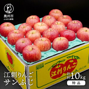 【ふるさと納税】 江刺りんご サンふじ 10kg（28～40玉） 【1月中旬お届け】 特品 糖度14度以上 高級果物 ブランドフルーツ 林檎 フルーツ [AQ012]