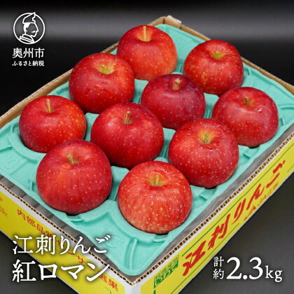 江刺りんご 紅ロマン 2.3kg（8～11玉）【8月下旬以降お届け】フルーツ 林檎 離島配送不可 [AQ021]
