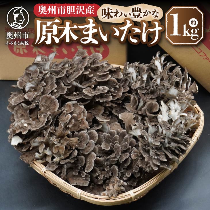 【ふるさと納税】 原木まいたけ 約1kg【ニコニコファーム】 【9月下旬以降お届け】[AQ040] 1