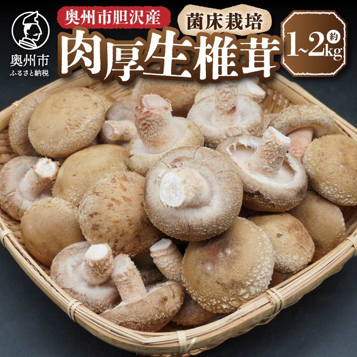 菌床栽培 生椎茸 約1kg/2kg[ニコニコファーム] [9月上旬以降順次お届け][AQ042][AQ041]