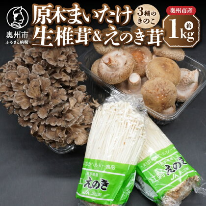 岩手県奥州市産 3種のきのこセット 約1kg 原木まいたけ 菌床栽培 生椎茸 JA江刺 えのき茸 【9月下旬以降発送】[AQ044]