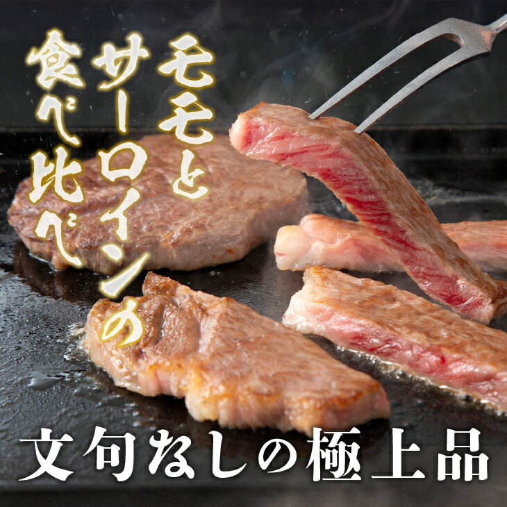 【ふるさと納税】 前沢牛 ステーキ 食べ比べ 合計480g（サーロイン・モモ 各120g×2枚）【冷蔵発送★お届け日指定をお忘れなく！】 ブランド 牛肉 肉 冷蔵配送 離島配送不可 [U0074]