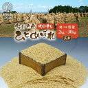 17位! 口コミ数「0件」評価「0」 岩手県奥州市産 ひとめぼれ 天日干し 玄米 選べる内容量 2kg～30kg 令和5年産 人気沸騰の米 【7日以内発送】 【発送日当日精米】･･･ 