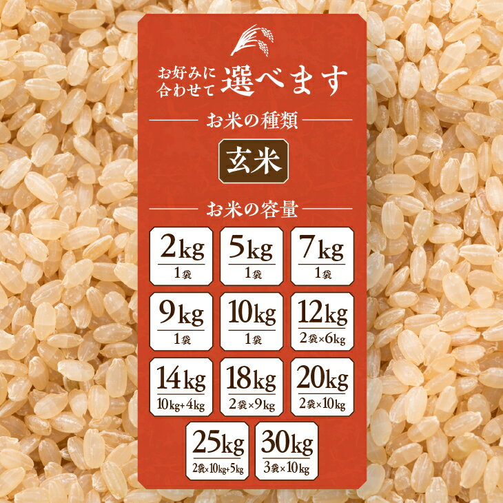 ふっくら柔らか豊かな粘りと、噛むほどに増す極上の甘み♪　【ふるさと納税】 新米 新登場の高級米 令和7年産 岩手県奥州市産 金色の風 玄米 選べる内容量 2kg〜30kg 【7日以内発送】 おこめ ごはん ブランド米 [AC027]