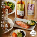 【ふるさと納税】 生塩麹・しょうゆ麹セット 発酵食品 調味料 セット 麹 各160g×3 チューブ形式 スパウトパウチ [AD017]