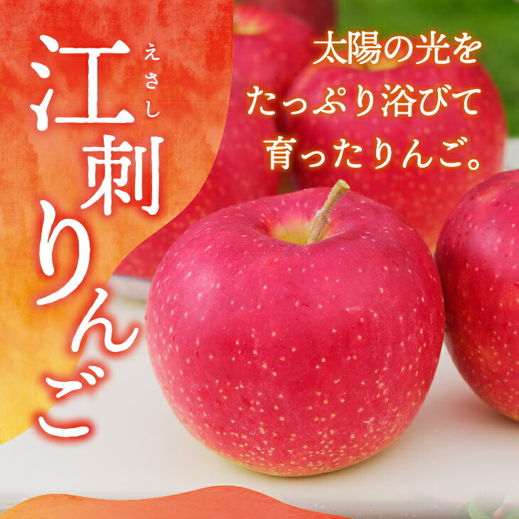 【ふるさと納税】 江刺りんごと岩手県産野菜セット【12月お届け】 林檎 フルーツ 野菜 詰め合わせ 冷蔵配送 離島配送不可 [AQ017]