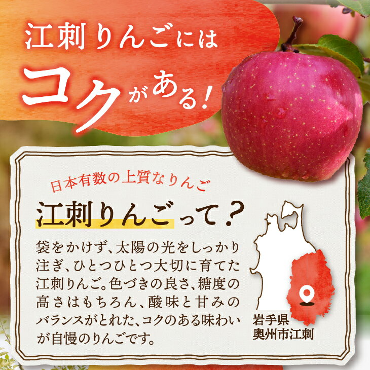 【ふるさと納税】 江刺りんごと岩手県産野菜セット【12月お届け】 林檎 フルーツ 野菜 詰め合わせ 冷蔵配送 離島配送不可 [AQ017]