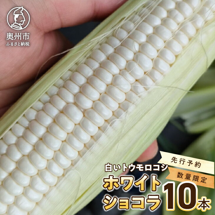  白いとうもろこし ホワイトショコラ 10本  300g以上 糖度17度以上 メロン並みの糖度 個包装 2024年6月下旬から出荷 離島配送不可 