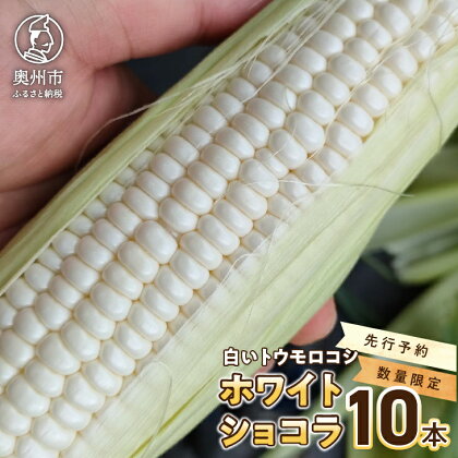 【先行予約】 白いとうもろこし ホワイトショコラ 10本 【数量限定】 300g以上 糖度17度以上 メロン並みの糖度 個包装 2024年6月下旬から出荷 離島配送不可 [T0012]