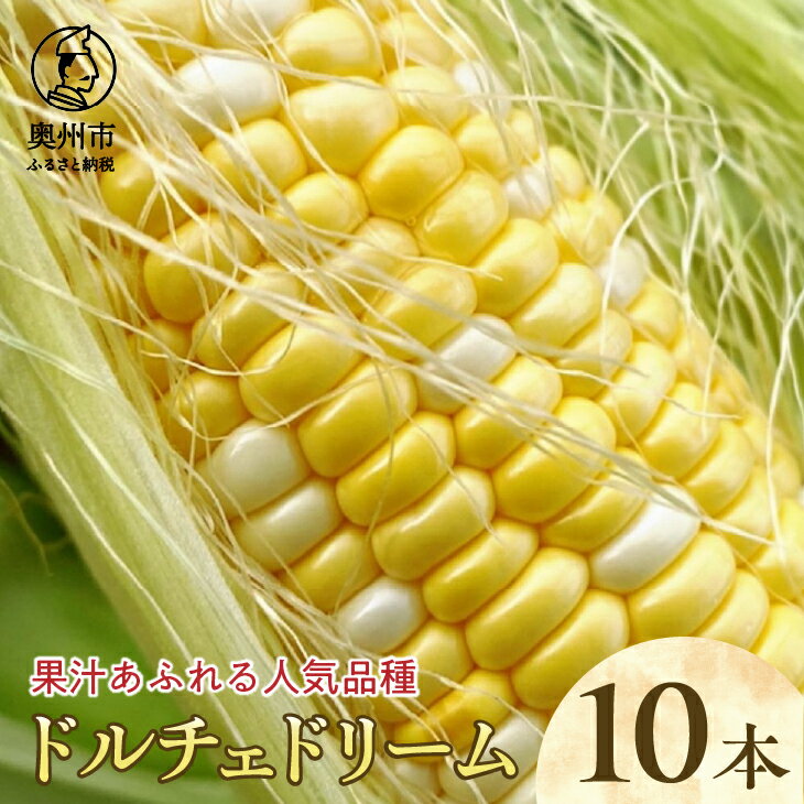 とうもろこし ドルチェドリーム10本 期間限定 野菜 人気品種 フルーティ 離島配送不可 [T0017]