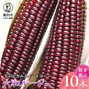 【数量限定】トロピカルスイートコーン・大和ルージュ ≪配送期間：2024年7月下旬～2024年10月中旬≫ ■味 サツマイモのような優しい甘さ、少しモチっとした食感がたまらないトウモロコシです。 大和ルージュは日本初の赤いトウモロコシ。 平均糖度16度。 トウモロコシの風味を強く感じられる品種です。 鮮やかな赤の理由はアントシアニンで、抗酸化力が強く、アンチエイジングが期待できるといわれています。 ■おすすめの食べ方 ＜電子レンジ＞ レンジでチンがオススメ！ サランラップをまいて500wで3分。 お湯で茹でるより味が凝縮してとっても美味しいです。 ＜茹でる＞ 鍋にお湯を沸かして5分茹でる。 茹で上がったトウモロコシを濃いめの冷たい塩水(氷を入れてください)に付けてなじませて出す。 しわが出来づらいので、時間経過しても比較的美味しくなります。 もちろん生でもOK！ ■保管方法 トウモロコシは時間経過と共に味、糖度が落ちていきます。 到着後はお早めにお召し上がりください。 保管する場合は、皮のついたままでビニール袋に入れて冷蔵庫で保管。 トウモロコシは付け根を下にして保管すると味が落ちる速度を遅く出来ます。 横にすると縦に戻ろうとするためエネルギーを消費し早く味が落ちますので、付け根を下にしてなるべく立てて保管してください。 ■栽培のこだわり 水は岩手県の東に連なる北上山地から流れるきれいで豊富な山水をパイプラインで引き込んで使います。 栽培する弊社の立地は山間部のためタヌキやハクビシン、キツネやアナグマなどが多く生息します。 日中からタヌキに出会うことも頻繁にあります。 それらの害獣対策のためトウモロコシ畑に特別に電気柵や網を張り育てています。 ■産地 岩手県奥州市の農園です。 有名な野球選手の出身地です。 本当に山の中、山と山の間にある田んぼを畑に変えて作った畑に赤いトウモロコシ大和ルージュを植えました。標高が高く昼と夜の気温差が大きく、イネ科の作物に最適な土壌である当地区はトウモロコシにちょうど良い場所でした。 ■注文に関する注意事項 ※商品の発送は、2024年7月下旬より先着受付順で順次発送となります。 ※天候や収穫状況により、ご用意できず代替品をご用意する場合や発送時期が前後する場合がございます。 　代替品のご用意となる場合は、ご登録いただいておりますメール等にてご連絡いたします。 （すでに税金の控除等を受けている方への返金は確定申告や修正申告が必要となる場合があります。） ※クール便で配送しますがトウモロコシは日を追うごとに甘さが失われていきます。なるべく早く受けとりお召し上がりください。 ※ご不在が多い場合はおいしいトウモロコシをお届けできません。ご注文はお控えください。 ※トウモロコシのおいしい時期を見極めて発送するため、指定日を承ることはできません。ご了承ください。 ■配送に関する注意事項 ※着日指定は出来かねております。 ※離島へのお届けはいたしかねます。 ※配送先情報の変更や長期ご不在日がございましたら、事前にご連絡ください。 　出荷後のご対応は出来かねておりますので、ご了承ください。 ※転送となった場合、転送費用を寄附者様にてご負担いただく場合がございます。 ※出荷時に伝票番号を記載した出荷通知メールをお送りいたしますので、ご確認ください。 ※寄附者様のご都合(長期不在等)によりお届けできない場合、返礼品の再送はいたしかねますのでご了承ください。 商品説明 名称 大和ルージュ10本 内容量 とうもろこし 大和ルージュ10本 消費期限 出荷後1週間 ※日ごとに糖度が落ちますのでお早めにお召上がりください。 配送方法 冷蔵 ※この返礼品は離島へのお届けはできません。 保存方法 立てた状態で冷蔵保管 提供元 株式会社 上小田代 電話番号：0197-32-2533 住　　所：岩手県奥州市江刺田原字蒲道沢16番地 ・寄附申込みのキャンセル、返礼品の変更・返品はできません。あらかじめご了承ください。 ・ふるさと納税よくある質問はこちら
