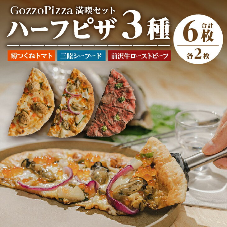 【ふるさと納税】 GozzoPizza 満喫セット ハーフピザ 鶏つくねトマト 三陸シーフード 前沢牛ローストビーフ ピザ 3種のハーフ 計6枚 フルサイズ25cm 冷凍配送 [BN001]