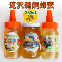 【ふるさと納税】 滝沢 鵜飼 はちみつ 3種 セット おすすめ / アカシア りんご 百花蜜 250ml 各1本 総量 750ml / 蜂蜜 ハチミツ ハニー ...