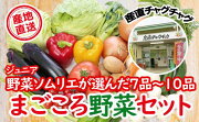 AY-001滝沢まごころ野菜セット（７品から１０品）【滝沢産業開発】