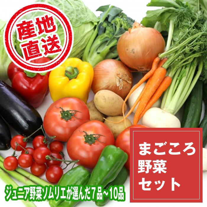 4位! 口コミ数「2件」評価「3」野菜 やさい ヤサイ セット 滝沢まごころ野菜セット (7～10品) 果物 加工品 詰合せ 詰め合わせ 新鮮 美味しい 産直 チャグチャグ ･･･ 