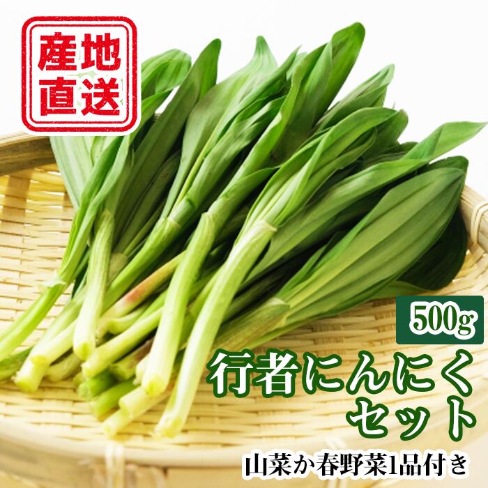 山菜 行者にんにく 行者ニンニク 春野菜 野菜 行者にんにくセット(行者にんにく500g、山菜 春野菜どちらか1品)やさい ヤサイ さんさい セット 春の味覚 春 県産 産地直送 農家直送[滝沢産業開発]岩手県 滝沢市 送料無料