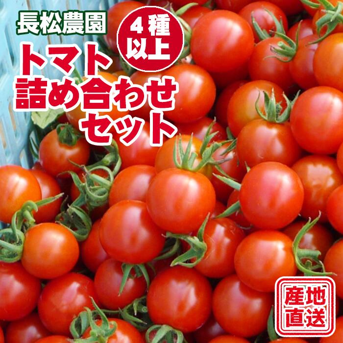 予約受付 令和6年度産 長松農園 トマト詰め合せ セット 4種類以上 約2kg 予約 野菜 やさい 早期受付 受付開始 予約販売 トマト ミニトマト 種類 詰合せ いろいろ とまと 【滝沢産業開発株式会社】岩手県 滝沢市 送料無料