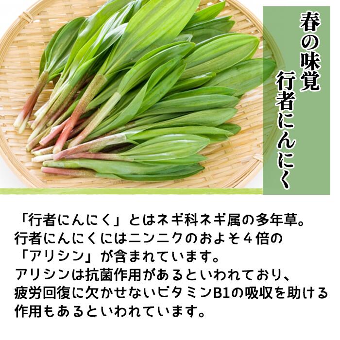 【ふるさと納税】 ふるさと納税 おすすめ 山菜 行者にんにく 行者ニンニク 春野菜 野菜 行者にんにくセット（行者にんにく500g、山菜 春野菜どちらか1品）やさい ヤサイ さんさい セット 春の味覚 春 県産 産地直送 農家直送【滝沢産業開発】岩手県 滝沢市 送料無料