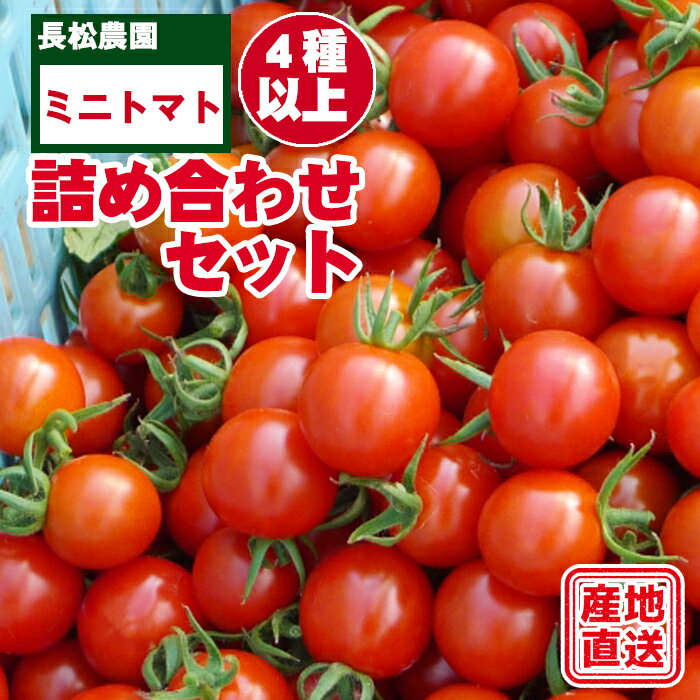 ミニトマト おすすめ 長松農園 4種類 以上 約 2kg セット / 2kg 2キロ 2キロ 野菜 夏野菜 詰め合わせ 詰合せ 詰め合せ 詰合わせ 詰めあわせ 食べ比べ 食べくらべ 旬 国産 数量限定 期間限定 季節限定 岩手県 滝沢市 送料無料 滝沢産業開発