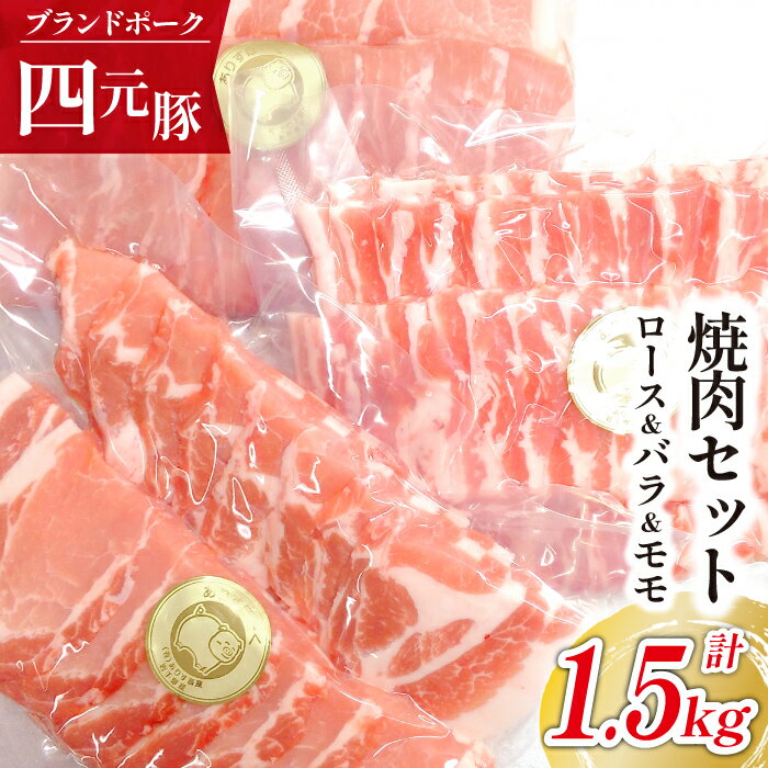 【ふるさと納税】 四元豚 ありすぽーく 焼肉 セット ロース