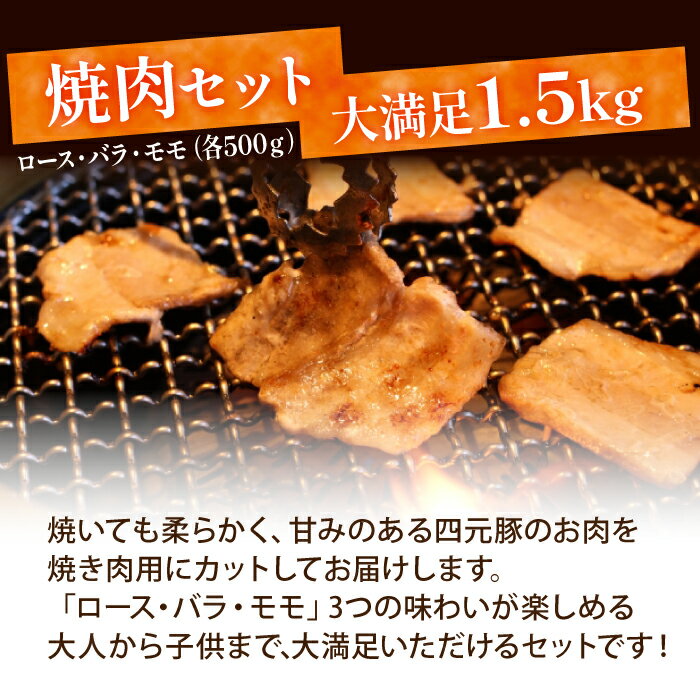 【ふるさと納税】 四元豚 ありすぽーく 焼肉 セット ロース 500g バラ 500g モモ 500g 送料無料 肉 豚肉 精肉 国産 ポーク バラ肉 豚バラ 豚ロース もも もも肉 生姜焼き 炒め物 焼き肉 豚丼 味噌豚 子供に人気 ブランド豚 お取り寄せ 冷凍発送 自宅用 家庭用 岩手県 滝沢市