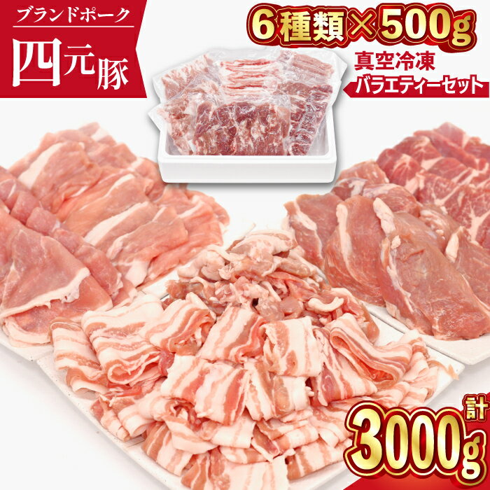 四元豚 ありすぽーく おまかせ バラエティ セット 総量3000g ／ 豚 豚肉 ぶた 豚小間 豚バラ ロース モモ 肩ロース 小間切れ こま切れ 切り落とし ヒレ 肉 真空パック トレーなし 送料無料 精肉 国産 ポーク 炒め物 焼肉 煮物 岩手県 滝沢市 ありす畜産