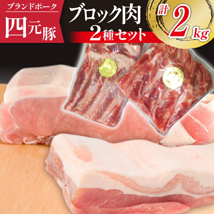  四元豚 ありすぽーく バラ 1kg ロース 1kg ブロック セット ／ 総量 2kg ブロック肉 かたまり肉 塊肉 真空パック 送料無料 肉 お肉 豚肉 精肉 国産 ポーク バラ肉 豚バラ 豚ロース 焼肉 人気 ブランド豚 お取り寄せ 岩手県 滝沢市 冷蔵 1キロ 2キロ