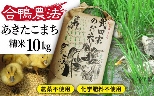 【ふるさと納税】令和4年産米 合鴨農法 武田家のお米 あきたこまち 白米 10kg ...