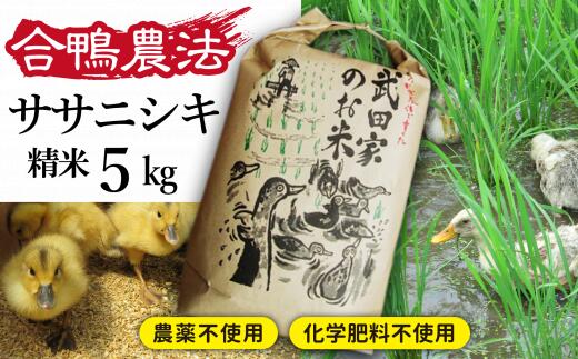 【ふるさと納税】 令和4年産米 合鴨農法 武田家のお米 ササニシキ 白米 米 5kg 送料無料 5キロ 米 精米 あい鴨 カモ アイ鴨 鴨 岩手県産 滝沢市産 県産 美味しい 少量 産地直送 農家直送 お米 ご飯 コメ 岩手県 滝沢市 E-009