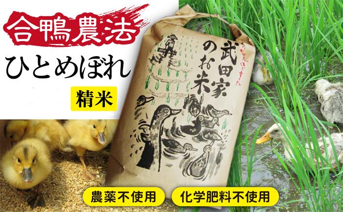 【ふるさと納税】新米 先行予約 受付 令和5年産米 ひとめぼれ 精米 合鴨農法 白米...