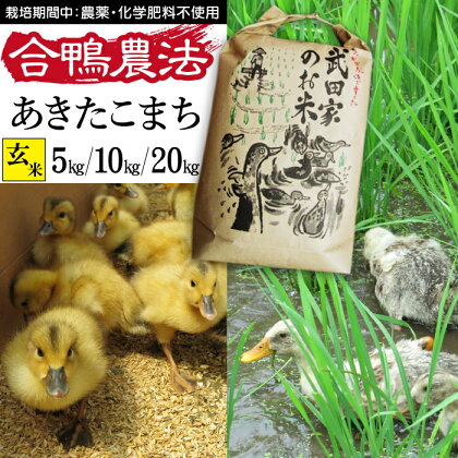 令和5年度産 あきたこまち 玄米 合鴨農法 武田家のお米 5kg 10kg 20kg 送料無料 米 あい鴨 カモ アイ鴨 鴨 アイガモ 選べる 5キロ 10キロ 20キロ 国産 美味しい 少量 産地直送 農家直送 お米 ご飯 コメ おにぎり 弁当 単一原料米 岩手県産 岩手県 滝沢市