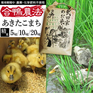 【ふるさと納税】 令和5年度産 あきたこまち 精米 合鴨農法 武田家のお米 5kg 10kg 20kg 送料無料 白米 米 あい鴨 カモ アイ鴨 鴨 アイガモ 選べる 5キロ 10キロ 20キロ 国産 美味しい 少量 産地直送 農家直送 お米 ご飯 白飯 おにぎり 単一原料米 岩手県産 岩手県 滝沢市