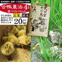 あきたこまち 【ふるさと納税】 令和5年度産 食べ比べ 精米 玄米 4種食べ比べセット 5kg×4袋 計20kg 20キロ ササニシキ 銀河のしずく あきたこまち ひとめぼれ 合鴨農法 武田家のお米 米 白米 あい鴨 カモ アイ鴨 少量 小分け 味比べ 産地直送 農家直送 ご飯 白飯 国産 岩手県 滝沢市